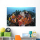 Sea Squirts and Soft Wall Decal