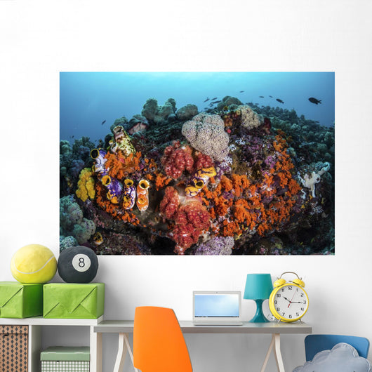 Sea Squirts and Soft Wall Decal