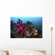 Soft and Hard Coral Wall Decal