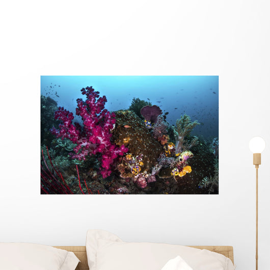 Soft and Hard Coral Wall Decal