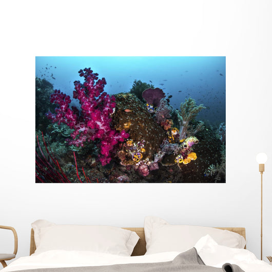 Soft and Hard Coral Wall Decal