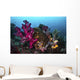 Soft and Hard Coral Wall Decal