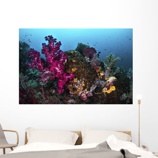 Soft and Hard Coral Wall Decal