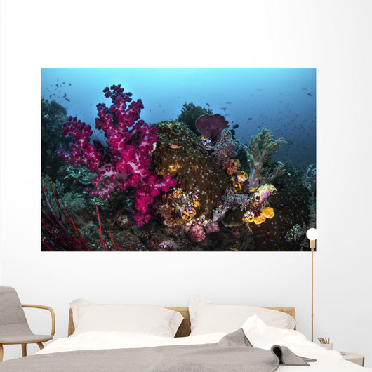 Soft and Hard Coral Wall Decal
