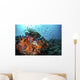 Orange Corals and Fish Landscape Wall Decal