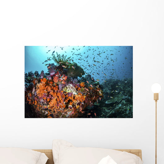 Orange Corals and Fish Landscape Wall Decal