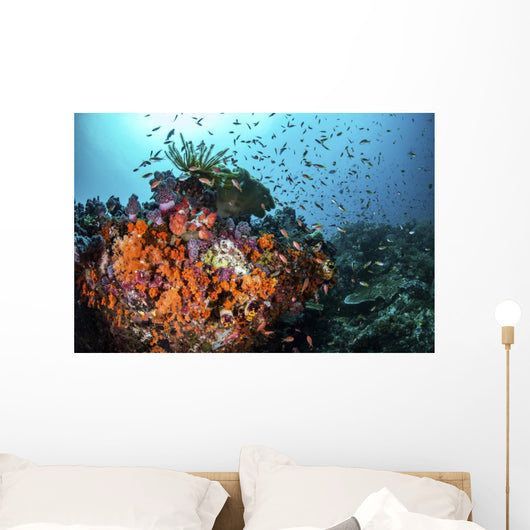 Orange Corals and Fish Landscape Wall Decal