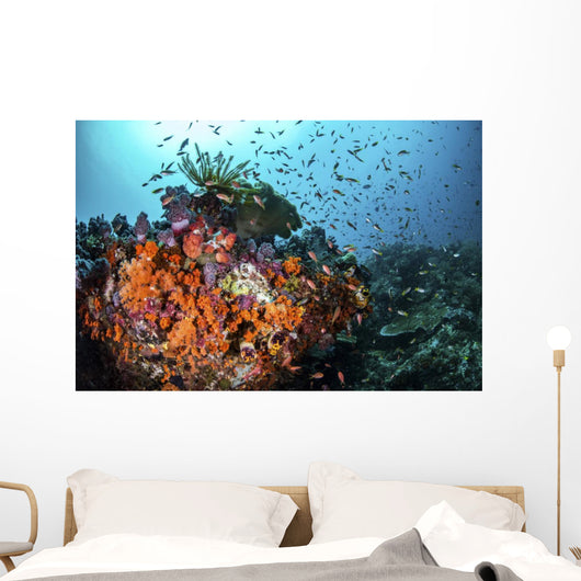 Orange Corals and Fish Landscape Wall Decal