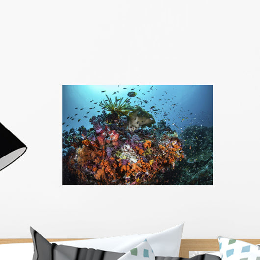 Orange Corals and Fish Wall Decal