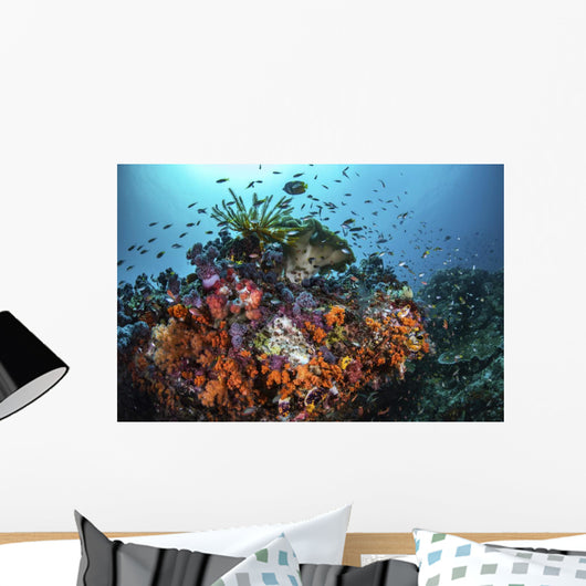 Orange Corals and Fish Wall Decal