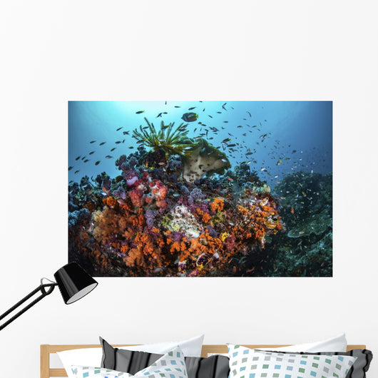 Orange Corals and Fish Wall Decal