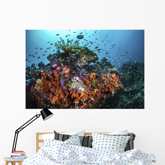 Orange Corals and Fish Wall Decal