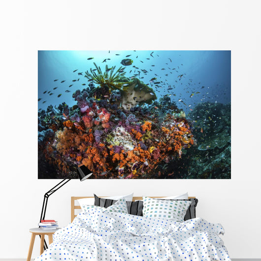 Orange Corals and Fish Wall Decal