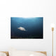 Giant Manta Ray Hovers Wall Decal