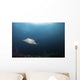 Giant Manta Ray Hovers Wall Decal