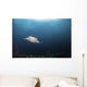 Giant Manta Ray Hovers Wall Decal