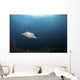 Giant Manta Ray Hovers Wall Decal