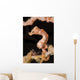 Denise's Pygmy Seahorse Raja Wall Decal
