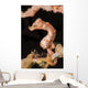Denise's Pygmy Seahorse Raja Wall Decal
