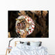Hermit Crab Crawls up Wall Decal