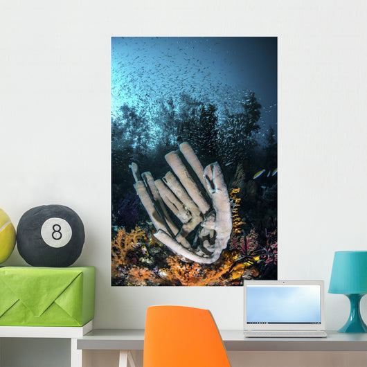 Thousands Glass Fish Hover Wall Decal