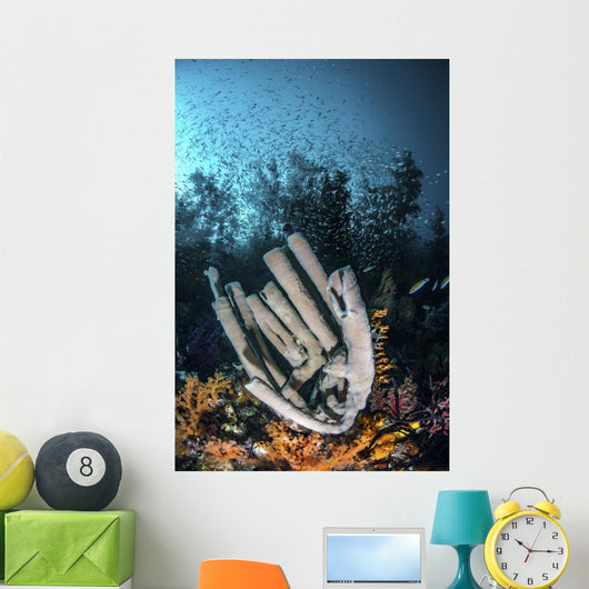 Thousands Glass Fish Hover Wall Decal