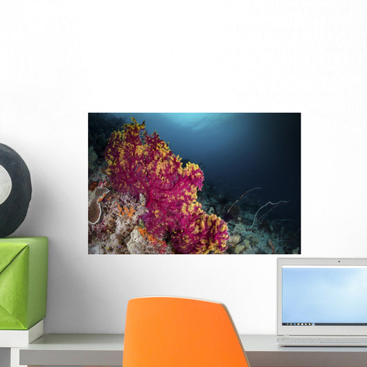 Pink and Yellow Sea Wall Decal