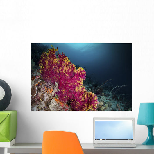 Pink and Yellow Sea Wall Decal