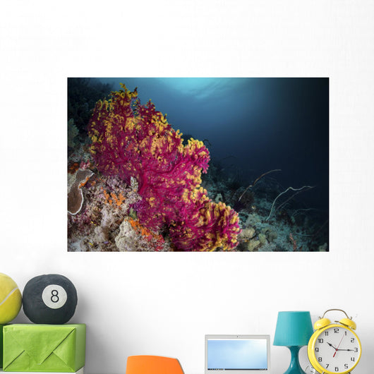 Pink and Yellow Sea Wall Decal