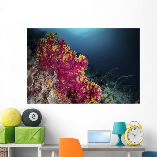Pink and Yellow Sea Wall Decal