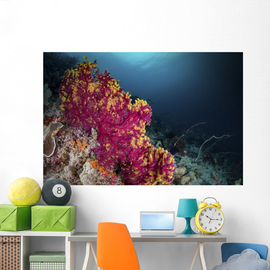 Pink and Yellow Sea Wall Decal