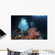 Iconic Boo Window Raja Wall Decal