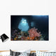 Iconic Boo Window Raja Wall Decal