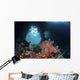 Iconic Boo Window Raja Wall Decal