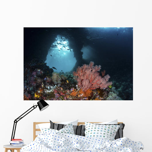 Iconic Boo Window Raja Wall Decal