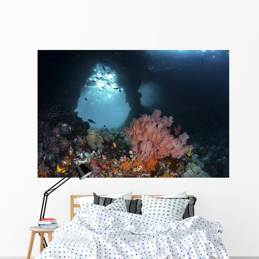 Iconic Boo Window Raja Wall Decal
