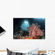 Sea Fan Grows Front Wall Decal