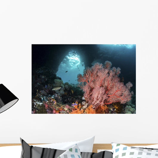 Sea Fan Grows Front Wall Decal