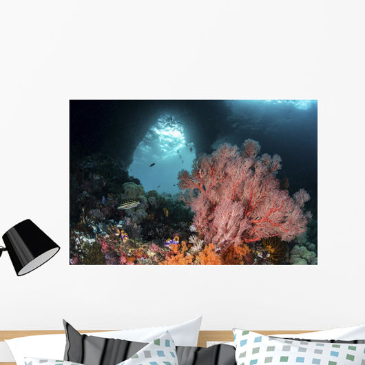 Sea Fan Grows Front Wall Decal