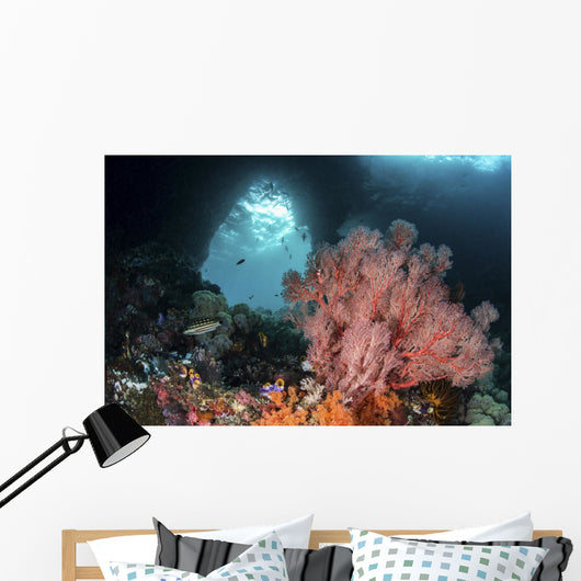 Sea Fan Grows Front Wall Decal