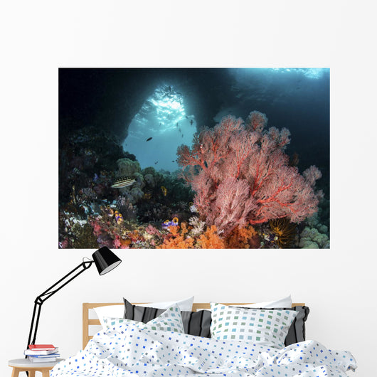 Sea Fan Grows Front Wall Decal