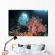 Sea Fan Grows Front Wall Decal