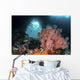 Sea Fan Grows Front Wall Decal