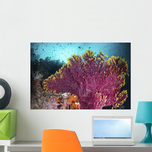 Purple Sea Fan Is Wall Decal