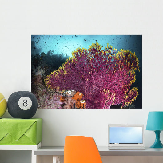 Purple Sea Fan Is Wall Decal