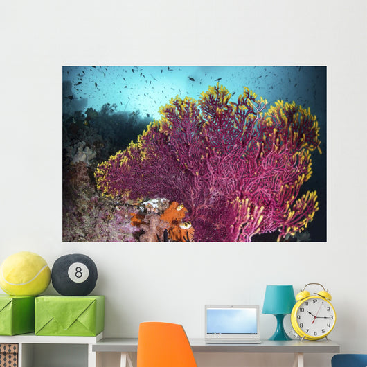 Purple Sea Fan Is Wall Decal