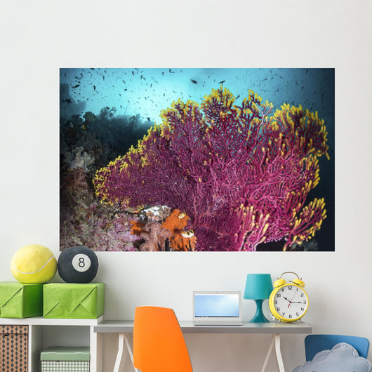 Purple Sea Fan Is Wall Decal