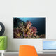Colorful Soft Coral Reef Wall Decal
