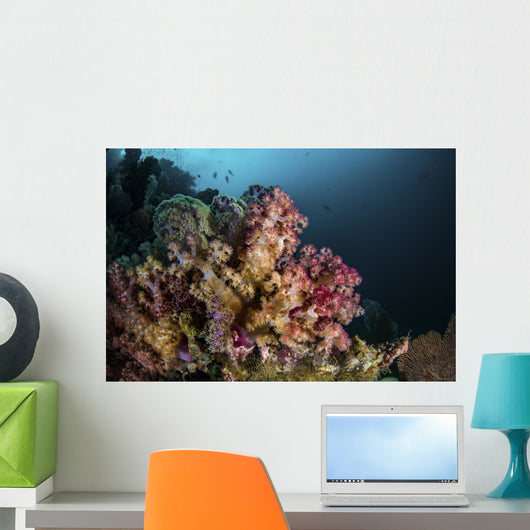 Colorful Soft Coral Reef Wall Decal