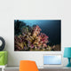 Colorful Soft Coral Reef Wall Decal